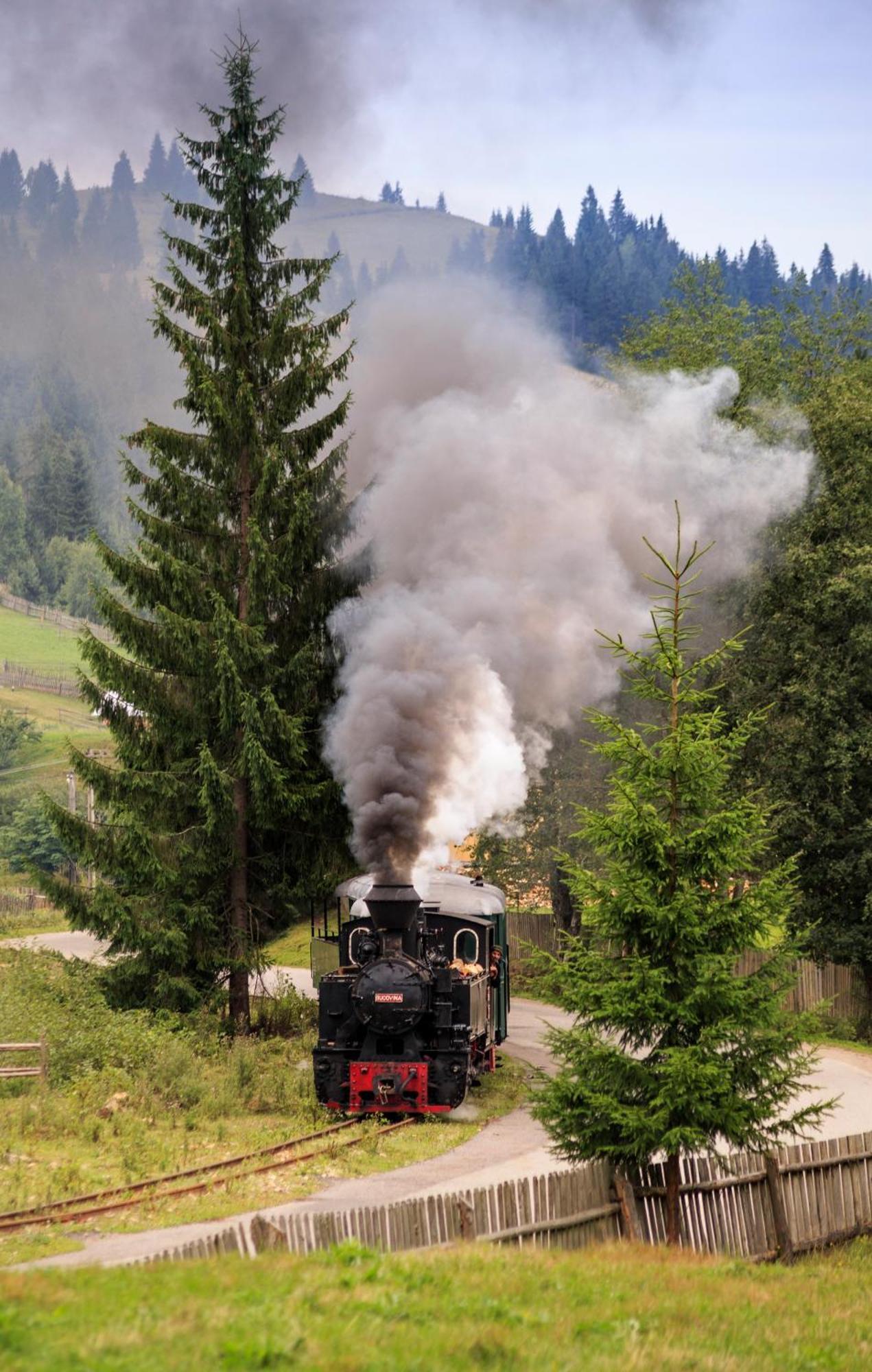Bucovina Exclusiv Hotel Vama  Eksteriør billede